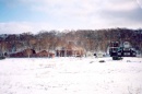 Камчатский медведь