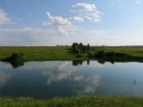 Платная рыбалка на Алешинском пруду