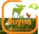 База «Пендиковское озеро», МУП "Фауна"
